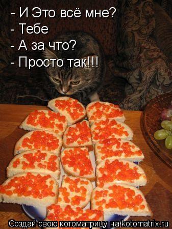 Котоматрица: - И Это всё мне? - Тебе - А за что? - Просто так!!!