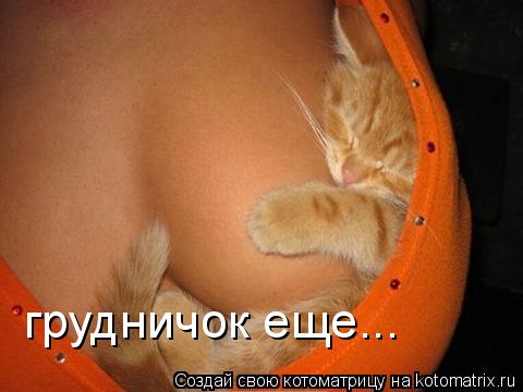 Котоматрица: грудничок еще...