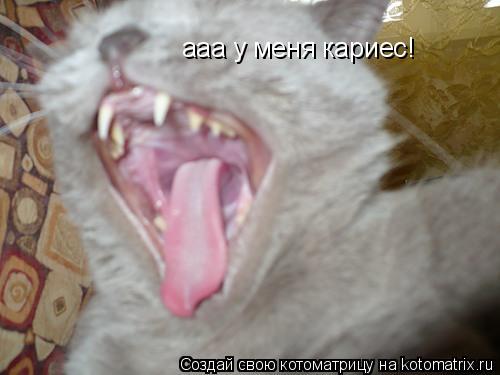 Котоматрица: ааа у меня кариес!