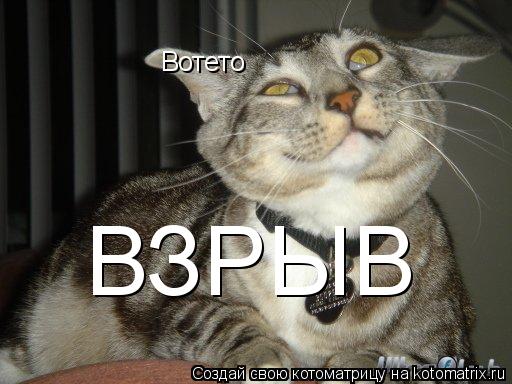 Котоматрица: Вотето  ВЗРЫВ
