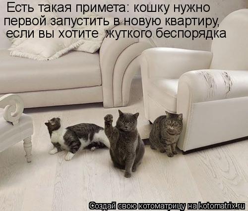 Есть такая примета: кошку нужно первой запустить в новую квартиру, если вы хотите жуткого беспорядка... Котоматрица: Есть такая примета: кошку нужно первой запустить в новую квартиру, если вы хотите жуткого беспорядка