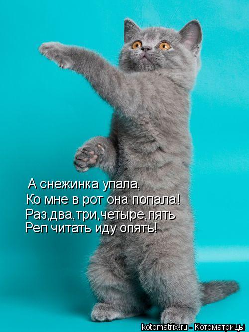 Котоматрица: А снежинка упала, Ко мне в рот она попала! Раз,два,три,четыре,пять Реп читать иду опять!