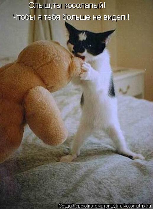 Котоматрица: Чтобы я тебя больше не видел!! Слыш,ты косолапый!