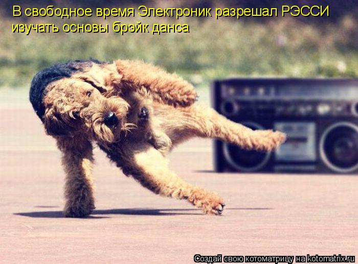 Котоматрица: В свободное время Электроник разрешал РЭССИ изучать основы брэйк данса
