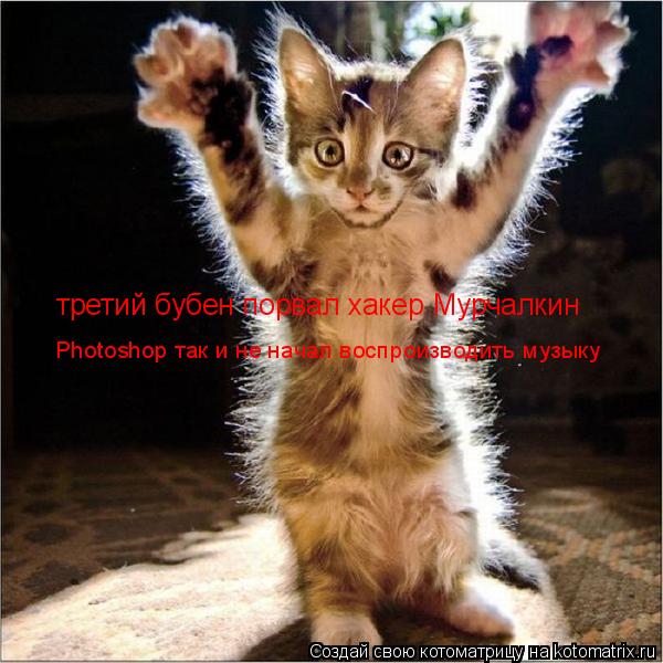 Котоматрица: третий бубен порвал хакер Мурчалкин Photoshop так и не начал воспроизводить музыку