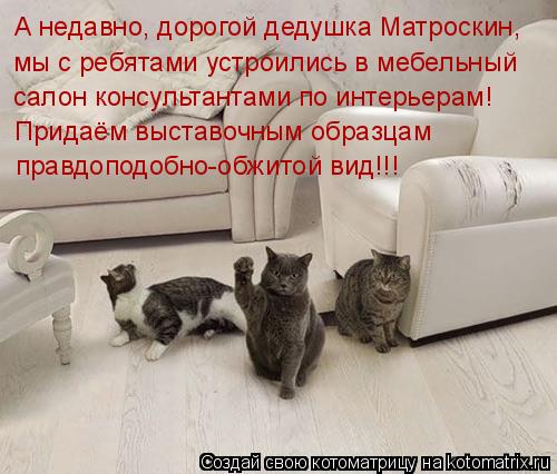 А недавно, дорогой дедушка Матроскин, мы с ребятами устроились в мебельный салон консультантами по ин... Котоматрица: А недавно, дорогой дедушка Матроскин, мы с ребятами устроились в мебельный салон консультантами по интерьерам! Придаём выставочным образц
