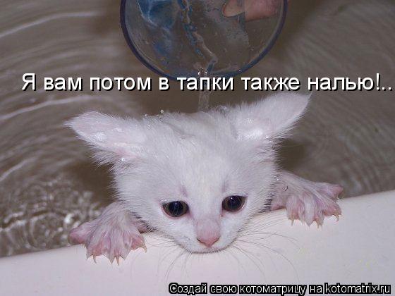 Котоматрица: Я вам потом в тапки также налью!..