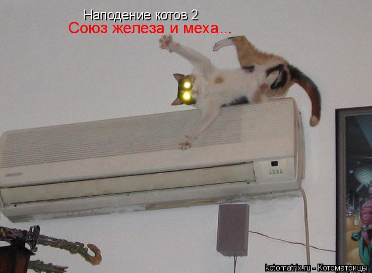 Котоматрица: Наподение котов 2  Союз железа и меха...