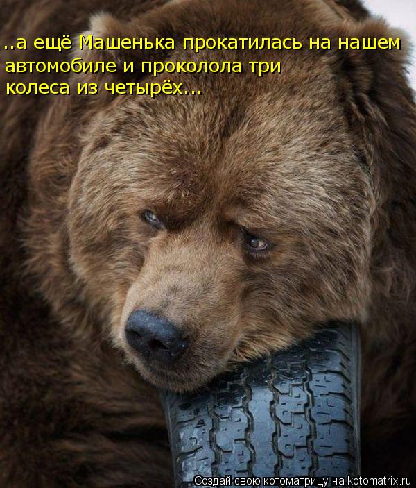 ..а ещё Машенька прокатилась на нашем автомобиле и проколола три колеса из четырёх...... Котоматрица: ..а ещё Машенька прокатилась на нашем автомобиле и проколола три колеса из четырёх...