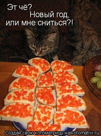 Эт чё? Новый год, или мне сниться?!... Котоматрица: Эт чё? Новый год, или мне сниться?!