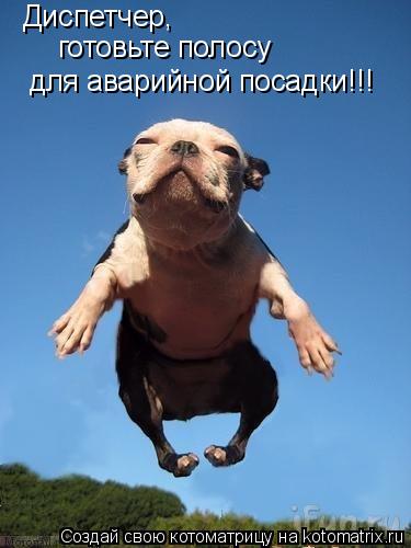 Диспетчер, готовьте полосу для аварийной посадки!!!... Котоматрица: Диспетчер, готовьте полосу для аварийной посадки!!!