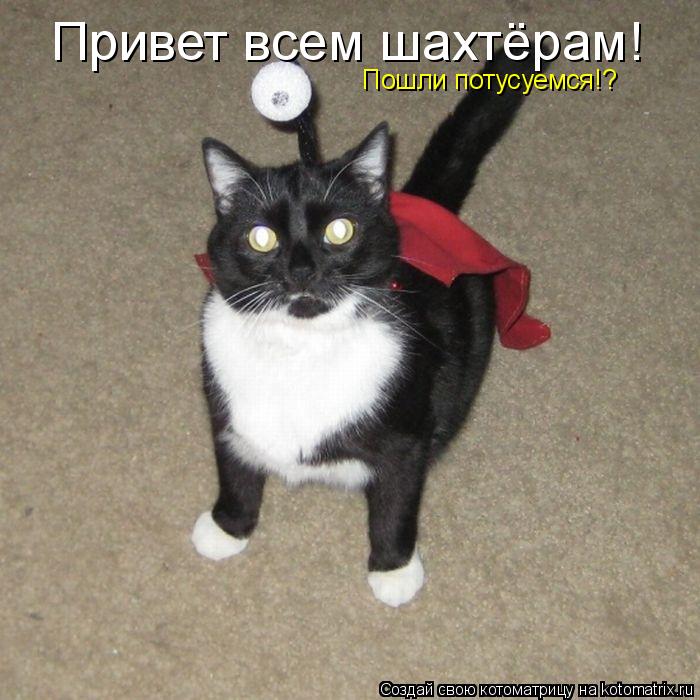 Привет всем шахтёрам! Пошли потусуемся!?... Котоматрица: Привет всем шахтёрам! Пошли потусуемся!?