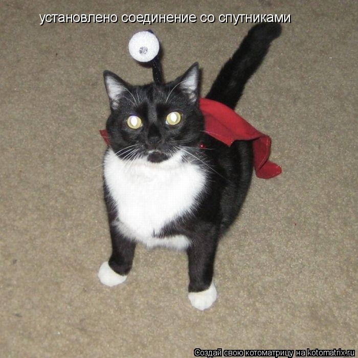 установлено соединение со спутниками... Котоматрица: установлено соединение со спутниками