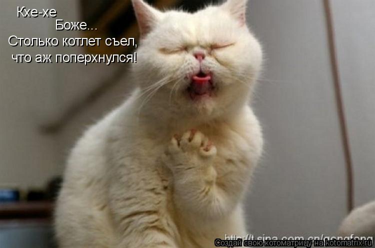 Кхе-хе Боже... Столько котлет съел, что аж поперхнулся!... Котоматрица: Кхе-хе Боже... Столько котлет съел, что аж поперхнулся!