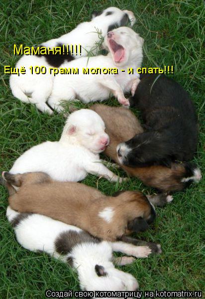 Ещё 100 грамм молока - и спать!!! Маманя!!!!!... Котоматрица: Ещё 100 грамм молока - и спать!!! Маманя!!!!!