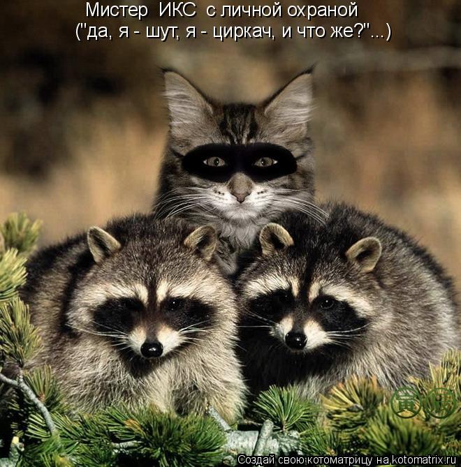 ("да, я - шут, я - циркач, и что же?"...) Мистер ИКС с личной охраной... Котоматрица: ("да, я - шут, я - циркач, и что же?"...) Мистер ИКС с личной охраной