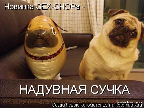 Новинка SEX-SHOPа - НАДУВНАЯ СУЧКА... Котоматрица: Новинка SEX-SHOPа - НАДУВНАЯ СУЧКА