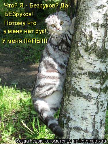 Что? Я - Безруков? Да! БЕЗруков! Потому что у меня нет рук! У меня ЛАПЫ!!!... Котоматрица: Что? Я - Безруков? Да! БЕЗруков! Потому что у меня нет рук! У меня ЛАПЫ!!!
