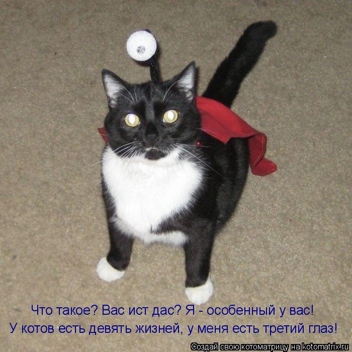 У котов есть девять жизней, у меня есть третий глаз! Что такое? Вас ист дас? Я - особенный у вас! Что... Котоматрица: У котов есть девять жизней, у меня есть третий глаз! Что такое? Вас ист дас? Я - особенный у вас! Что такое? Вас ист дас? Я - особенный у вас!