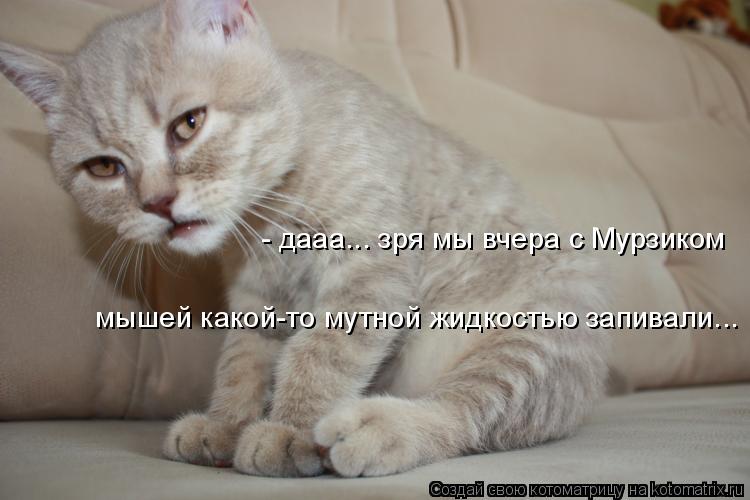 - дааа... зря мы вчера с Мурзиком мышей какой-то мутной жидкостью запивали...... Котоматрица: - дааа... зря мы вчера с Мурзиком мышей какой-то мутной жидкостью запивали...