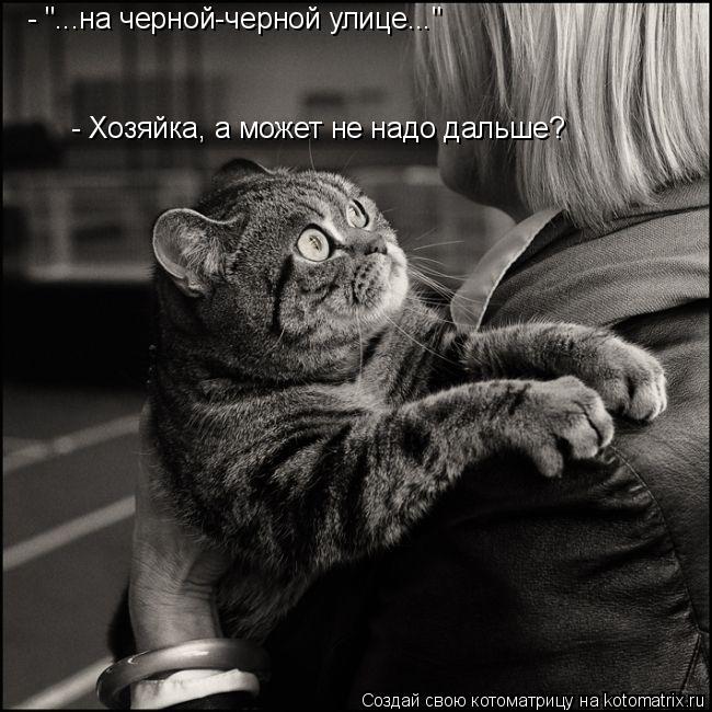 Котоматрица: - "...на черной-черной улице..." - Хозяйка, а может не надо дальше?
