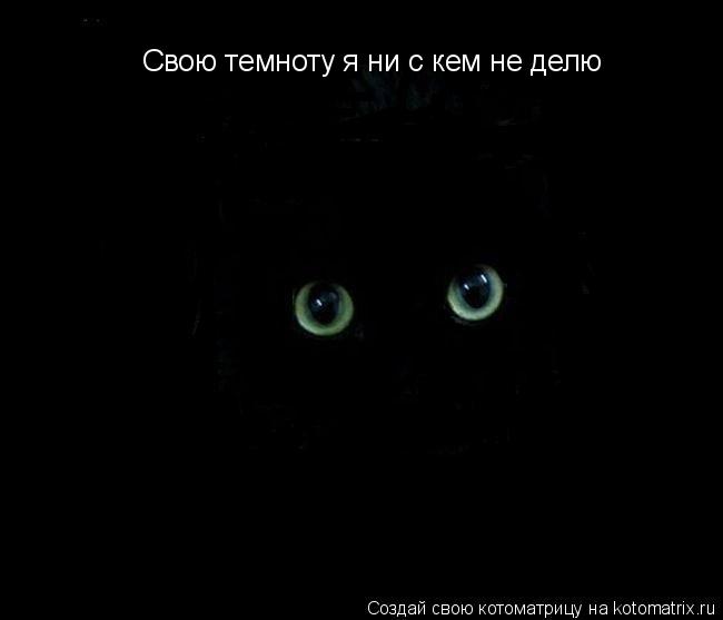 Котоматрица: Свою темноту я ни с кем не делю