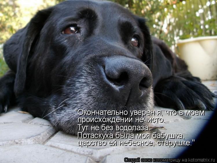 Котоматрица: "Окончательно уверен я, что в моем  происхождении нечисто.  Тут не без водолаза.  Потаскуха была моя бабушка,  царство ей небесное, старушке…"