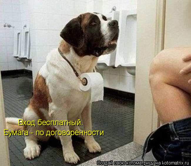 Котоматрица: Вход бесплатный. Бумага - по договорённости