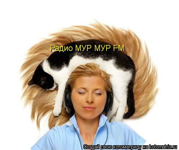 Котоматрица: Радио МУР МУР FM
