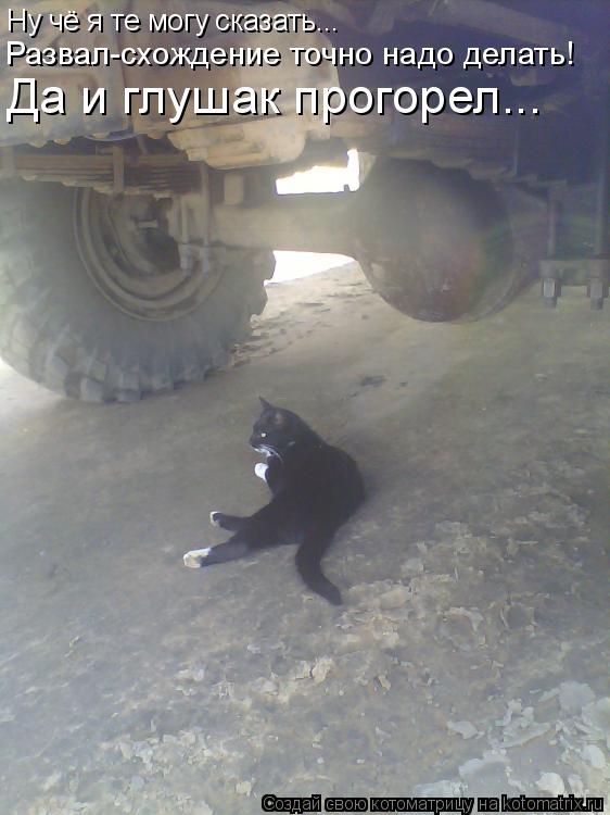 Котоматрица: Ну чё я те могу сказать... Развал-схождение точно надо делать! Да и глушак прогорел...