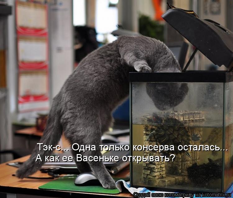 Тэк-с... Одна только консерва осталась... А как ее Васеньке открывать?... Котоматрица: Тэк-с... Одна только консерва осталась... А как ее Васеньке открывать?