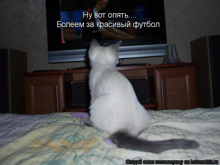 Ну вот опять.... Болеем за красивый футбол... Котоматрица: Ну вот опять.... Болеем за красивый футбол