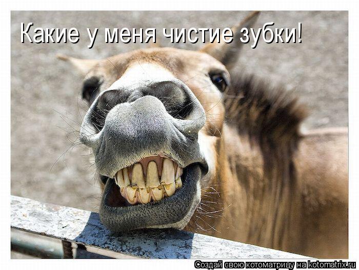 Какие у меня чистие зубки!... Котоматрица: Какие у меня чистие зубки!