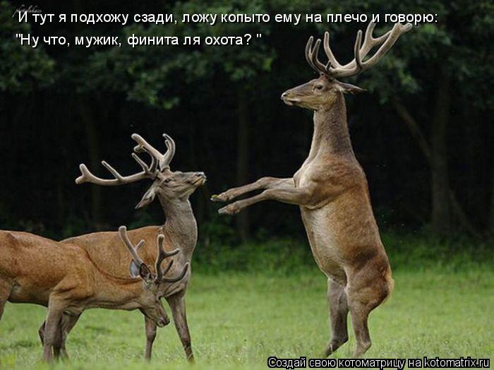 И тут я подхожу сзади, ложу копыто ему на плечо и говорю: "Ну что, мужик, финита ля охота? "... Котоматрица: И тут я подхожу сзади, ложу копыто ему на плечо и говорю: "Ну что, мужик, финита ля охота? "