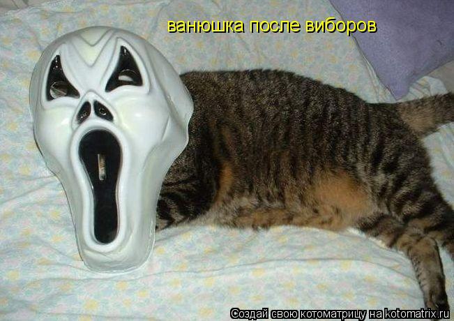 ванюшка после виборов... Котоматрица: ванюшка после виборов