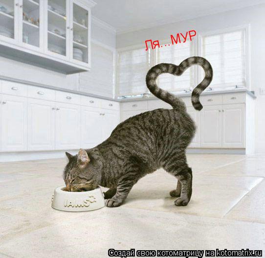Ля...МУР... Котоматрица: Ля...МУР