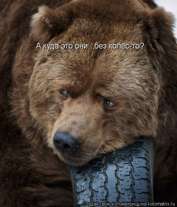 А куда это они...без колёс-то?... Котоматрица: А куда это они...без колёс-то?