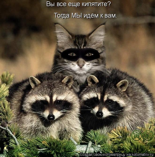 Вы все еще кипятите? Тогда МЫ идём к вам.... Котоматрица: Вы все еще кипятите? Тогда МЫ идём к вам.