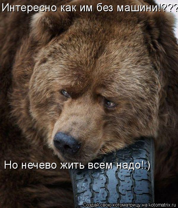 Интересно как им без машини!??? Но нечево жить всем надо!:)... Котоматрица: Интересно как им без машини!??? Но нечево жить всем надо!:)