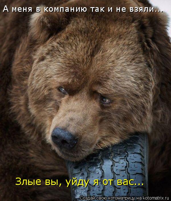 А меня в компанию так и не взяли... Злые вы, уйду я от вас...... Котоматрица: А меня в компанию так и не взяли... Злые вы, уйду я от вас...