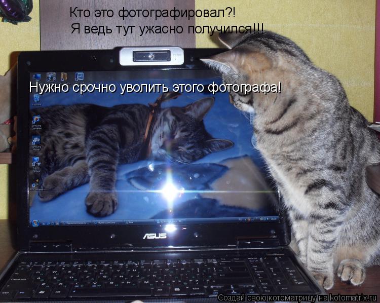 Кто это фотографировал?! Я ведь тут ужасно получился!!! Нужно срочно уволить этого фотографа!... Котоматрица: Кто это фотографировал?! Я ведь тут ужасно получился!!! Нужно срочно уволить этого фотографа!