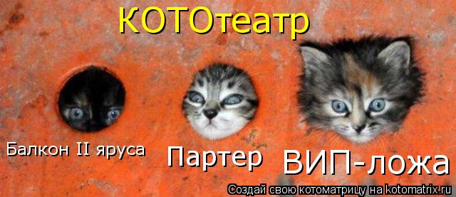 КОТОтеатр Балкон II яруса Партер ВИП-ложа... Котоматрица: КОТОтеатр Балкон II яруса Партер ВИП-ложа