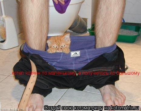 хотел хозяин по маленькому, а получилось по большому... Котоматрица: хотел хозяин по маленькому, а получилось по большому