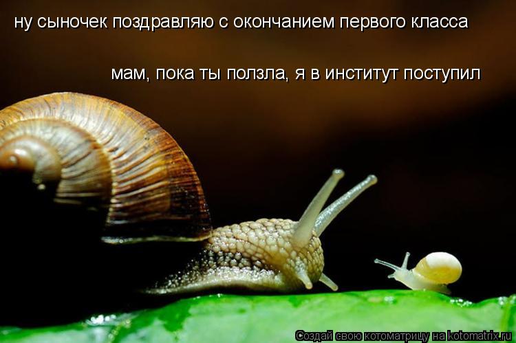 ну сыночек поздравляю с окончанием первого класса мам, пока ты ползла, я в институт поступил... Котоматрица: ну сыночек поздравляю с окончанием первого класса мам, пока ты ползла, я в институт поступил
