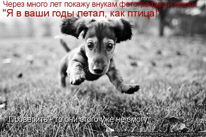 Через много лет покажу внукам фотографию и скажу: Проверить - то они этого уже не смогут... "Я в ваши... Котоматрица: Через много лет покажу внукам фотографию и скажу: Проверить - то они этого уже не смогут... "Я в ваши годы летал, как птица!"