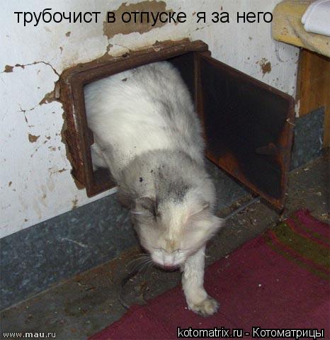 трубочист в отпуске я за него... Котоматрица: трубочист в отпуске я за него