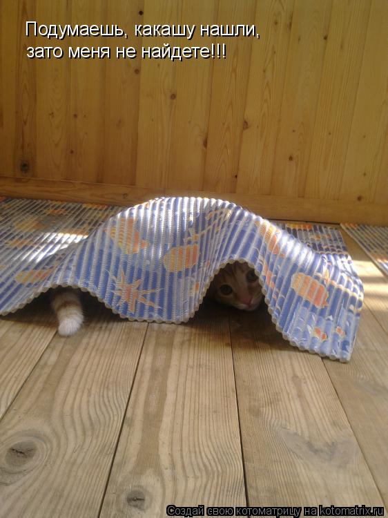 Котоматрица: Подумаешь, какашу нашли,  зато меня не найдете!!!