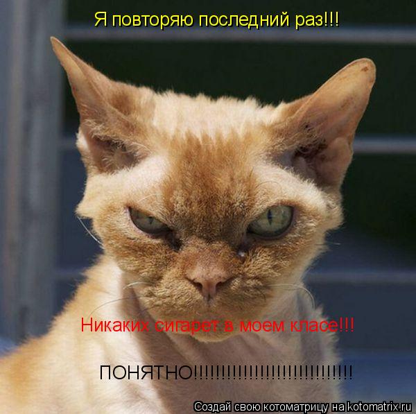 Я повторяю последний раз!!! Никаких сигарет в моем класе!!! ПОНЯТНО!!!!!!!!!!!!!!!!!!!!!!!!!!!!!... Котоматрица: Я повторяю последний раз!!! Никаких сигарет в моем класе!!! ПОНЯТНО!!!!!!!!!!!!!!!!!!!!!!!!!!!!!