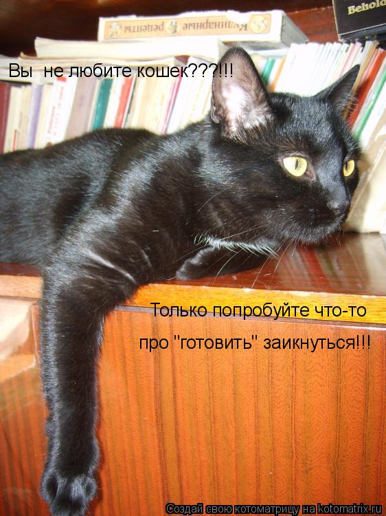 Вы не любите кошек???!!! Только попробуйте что-то про "готовить" заикнуться!!!... Котоматрица: Вы не любите кошек???!!! Только попробуйте что-то про "готовить" заикнуться!!!