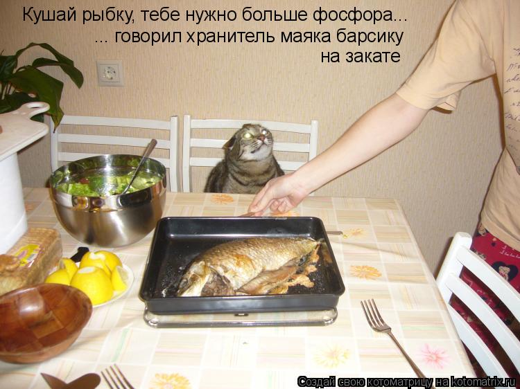 Кушай рыбку, тебе нужно больше фосфора... ... говорил хранитель маяка барсику на закате... Котоматрица: Кушай рыбку, тебе нужно больше фосфора... ... говорил хранитель маяка барсику на закате
